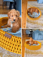 Round Crochet Pet Bed Pattern - dob bed with dog inside