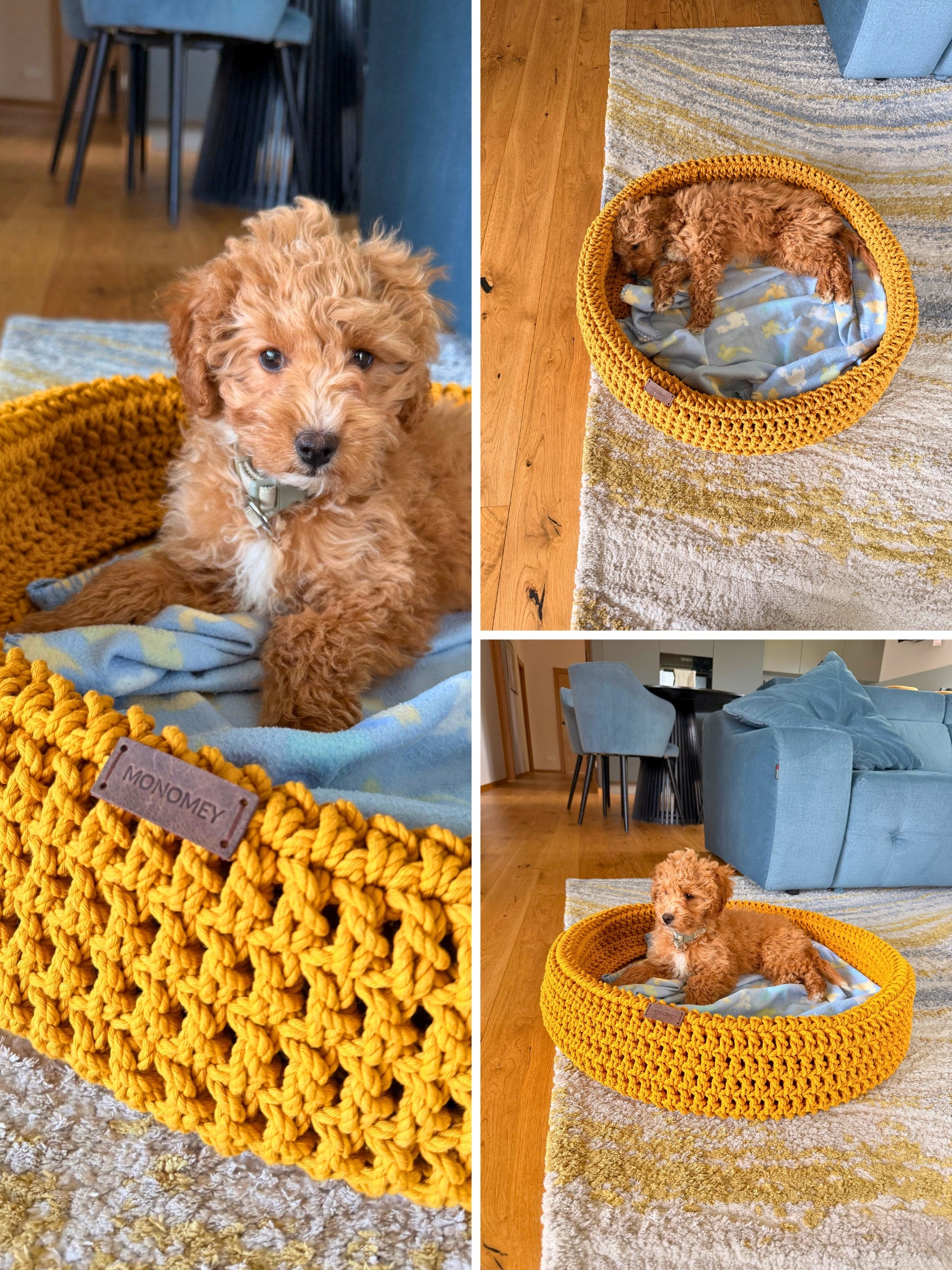 Round Crochet Pet Bed Pattern - dob bed with dog inside